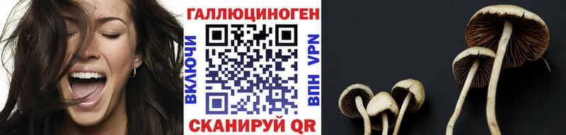 Галлюциногенные грибы MAGIC MUSHROOMS  купить наркоту  Слободской 